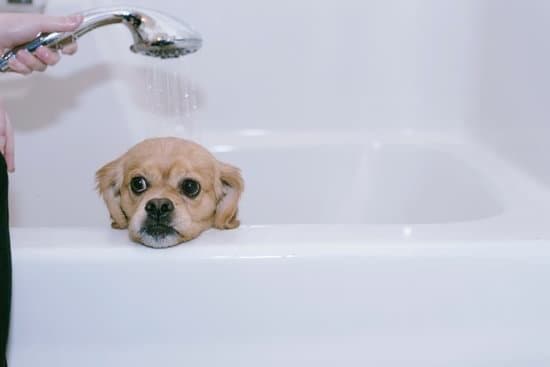 imgi_27_dog-in-bath-after-shower-to-tub-conversion-springfield-mo.jpg